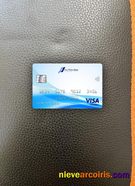 USA Nebraska Five Points Bank visa classic card photolook